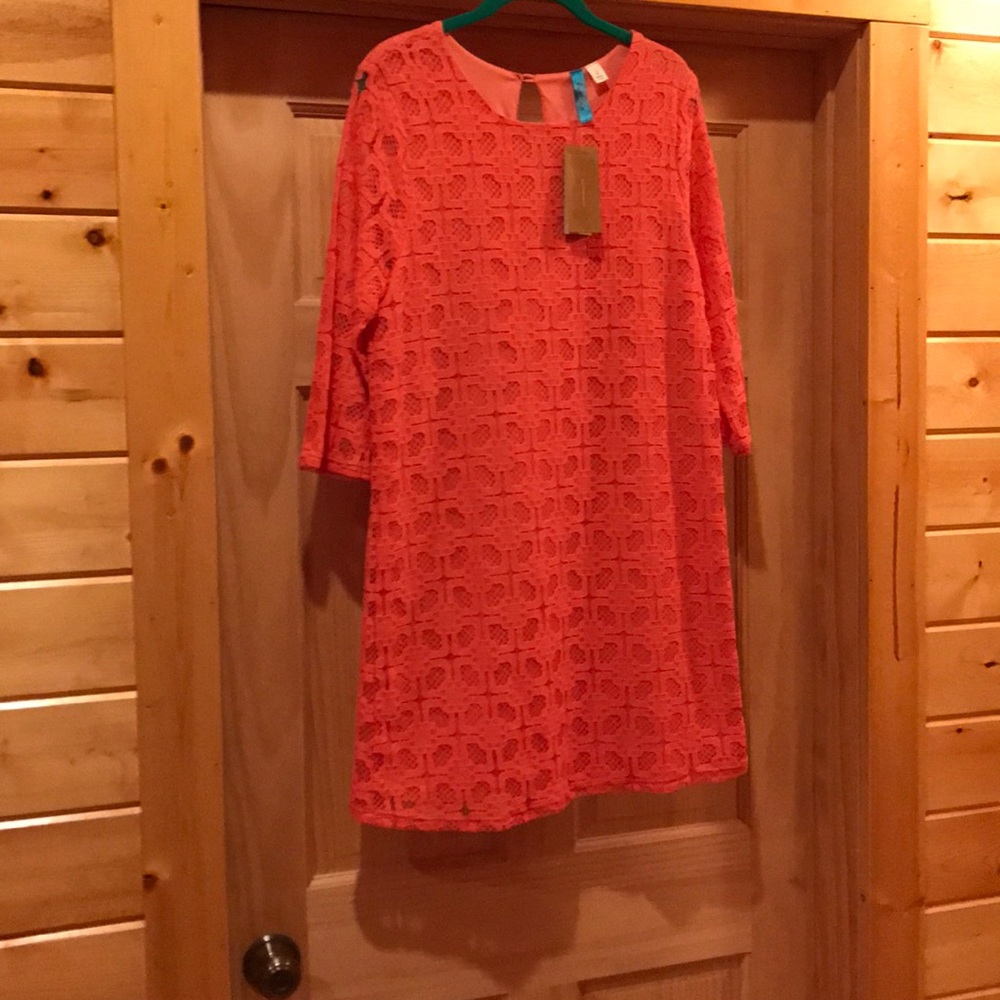 Francesca's Dress
